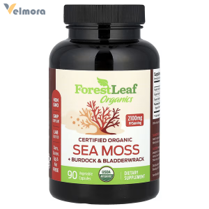 Forest Leaf Organic Sea Moss + Burdock &amp; Bladderwrack Capsules in Pakistan