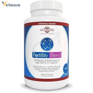 Fertility Blend Daily Wellness for Men Capsules