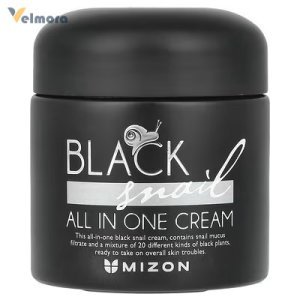 Mizon Black Snail All In One Cream